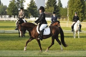 Kateřina Stránská - Limetree Valencia