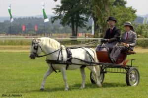 Pavel Blažek - Trawel Artuš