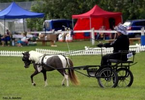 Jarmila Podzemská - D&D' Sonic Boom Acro