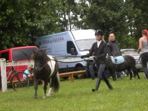 Kristýna Šmejkalová - Tabby Czenkow