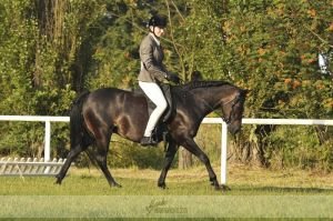 Kateřina Macháčková - Jacqueline