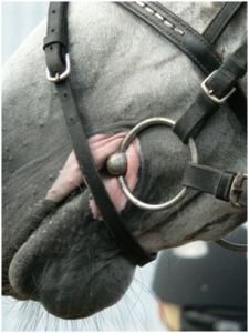 Depigmentace na hubě - vitiligo