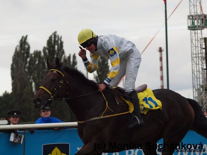 Charme Look vítězí