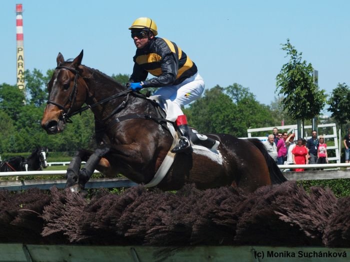 Veni Vidi Vici Veni Vidi Vici