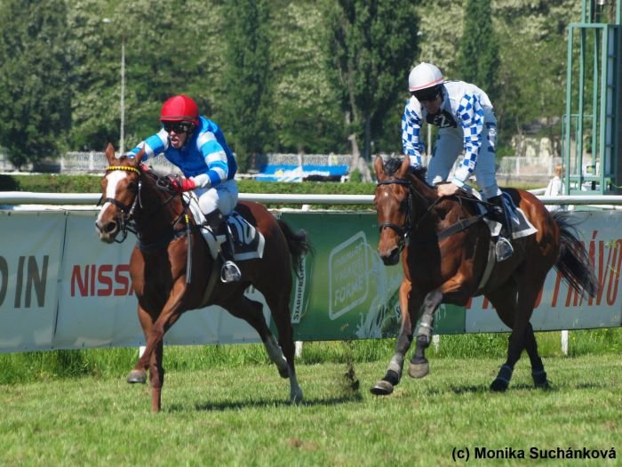 Koenigin Mum Koenigin Mum