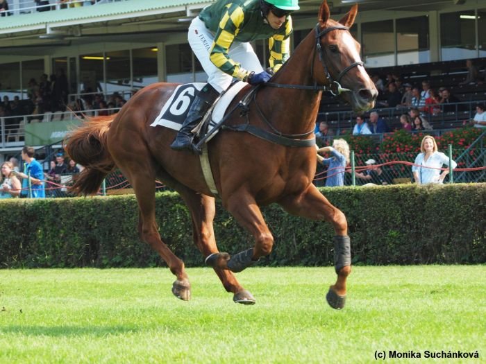 Apas Rocka Apas Rocka