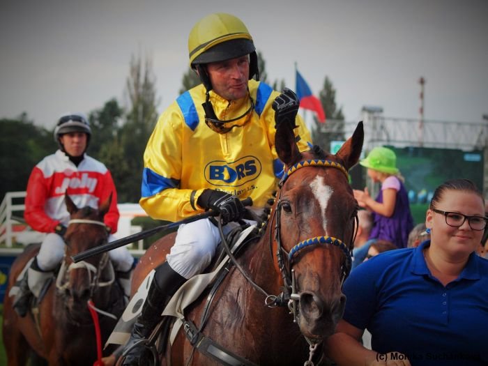 Universe of Gracie Universe of Gracie