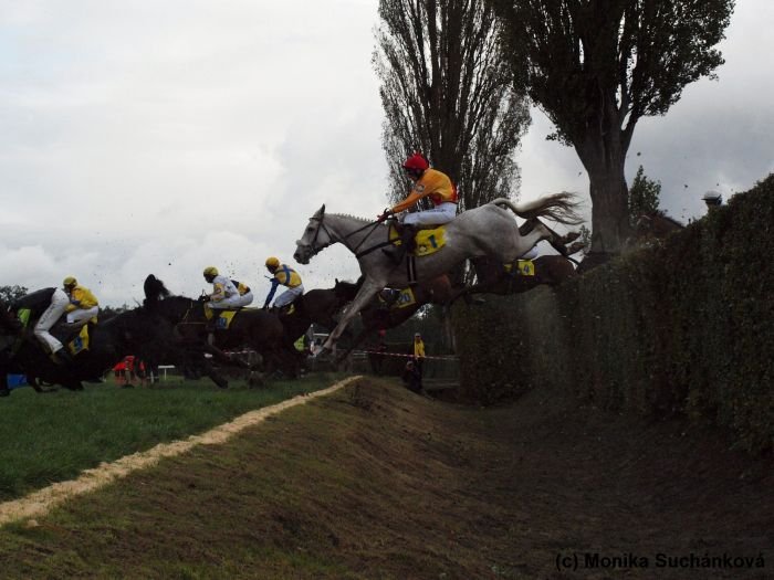 Ter Mill nad Taxisem