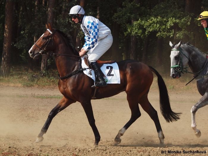 Lombargini Lombargini