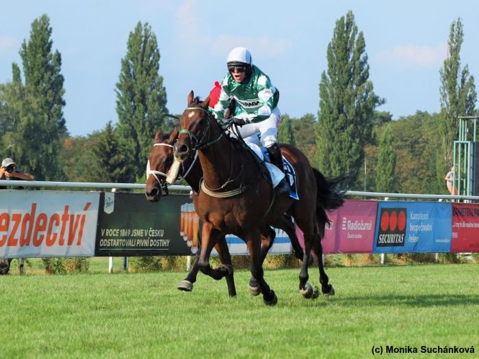 No Time To Lose No Time To Lose