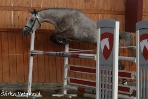 Klorie Insprav (o: Russel II, m: Klívie M po Ermitaž)