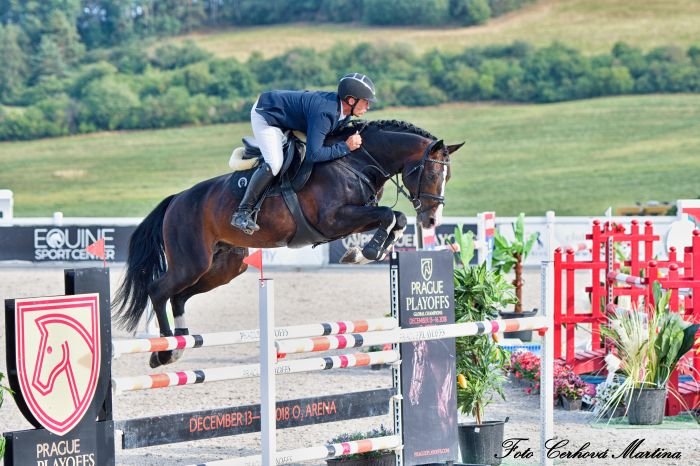 2049 Go-On T.S. (po Corlensky G)