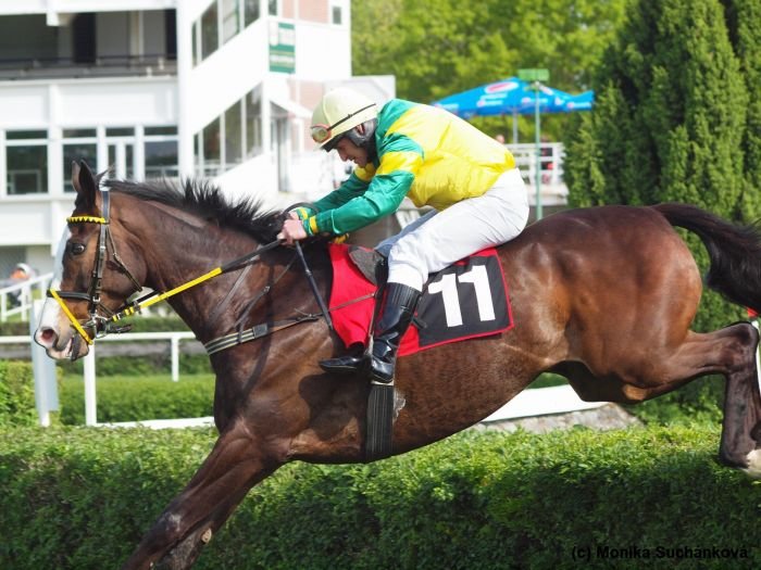 Ange Guardian Ange Guardian