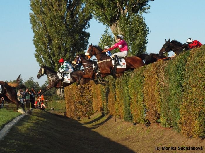 Theophilos, Sztorm a Ribelino