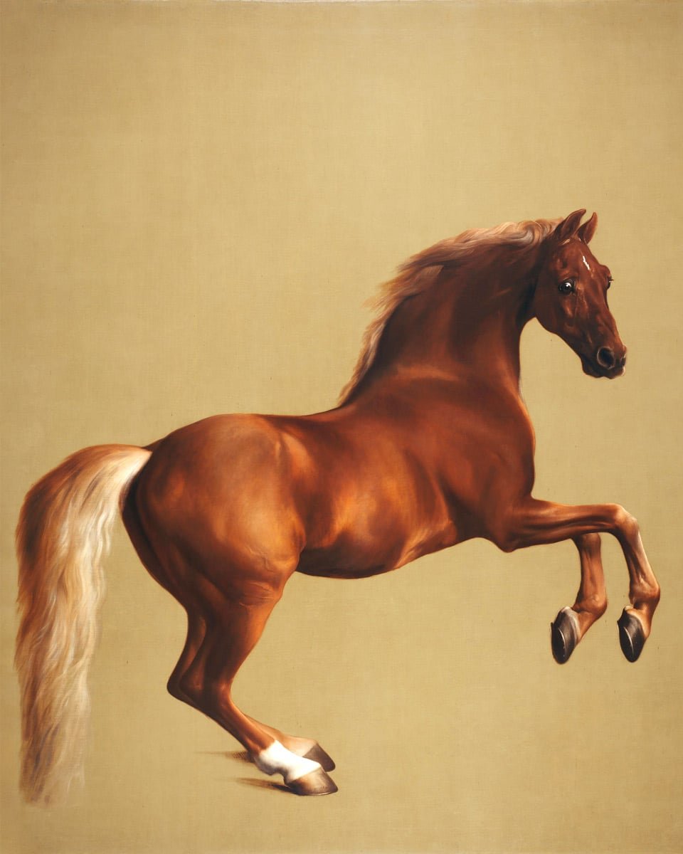 Whistlejacket-George-Stubbs.jpg