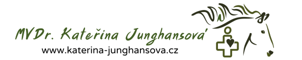 Junghansova.png